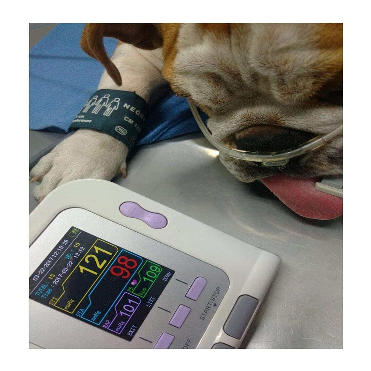 Vna Analyzer Monitor Pressione Sanguigna Veterinario CON-TEC 08A-VET - Digitale, Con Sonda SPO2 E Cavo USB Cat Blood Pressure