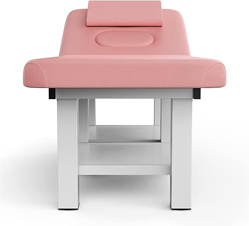 Miniatura 8 de Mesa de masaje estacionaria profesional con respaldo para mesa de tratamiento, mesa de terapia física, cama facial de spa, marco de metal de piel
