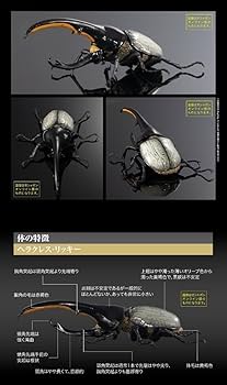 BANDAI - ヘラクレスオオカブト ヘラクレス・リッキー　ヘラクレスリッキー　いきもの大図鑑 Amazon.co.jp: いきもの大図鑑 アドバンス ヘラクレスオオカブト