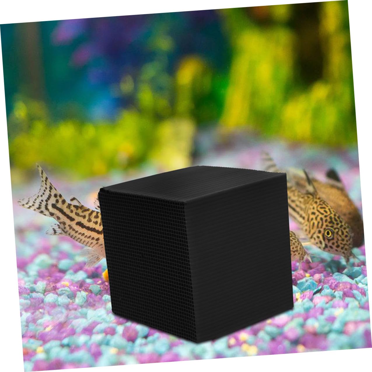 Lot de 2 cubes filtrants à eau en charbon actif pour abreuvoir pour chevaux et aquariums - Réduction des odeurs - Durable - Installation facile - Cube de nettoyage pour animaux de ferme