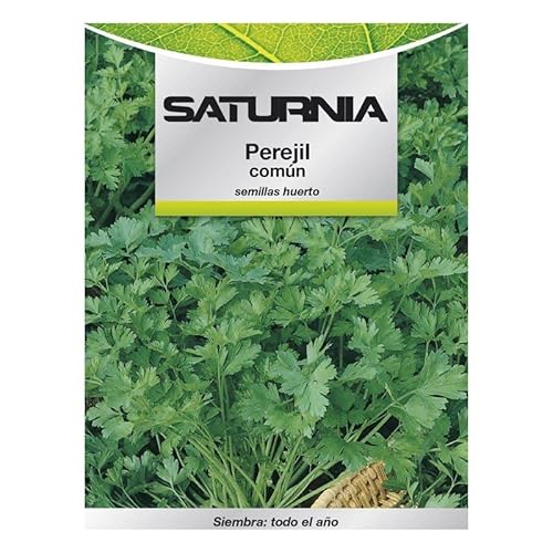 Semillas Perejil Comun (8 gramos)