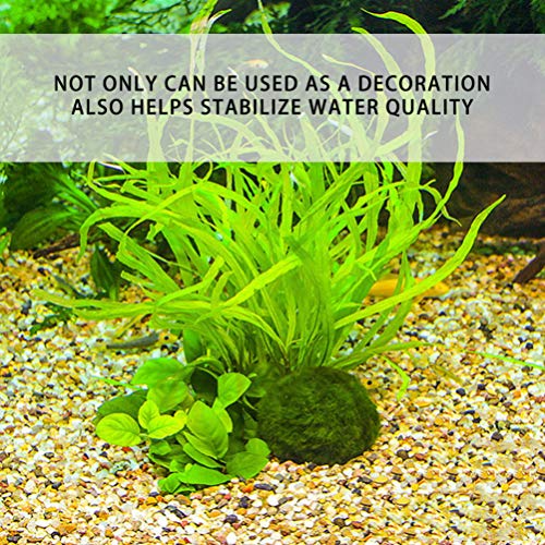 ULTECHNOVO 3 Pcs Marimo Musgo Bolas Algas Verdes Planta AquÃ¡tica AquÃ¡rio Peixes Tanque de CamarÃ£o