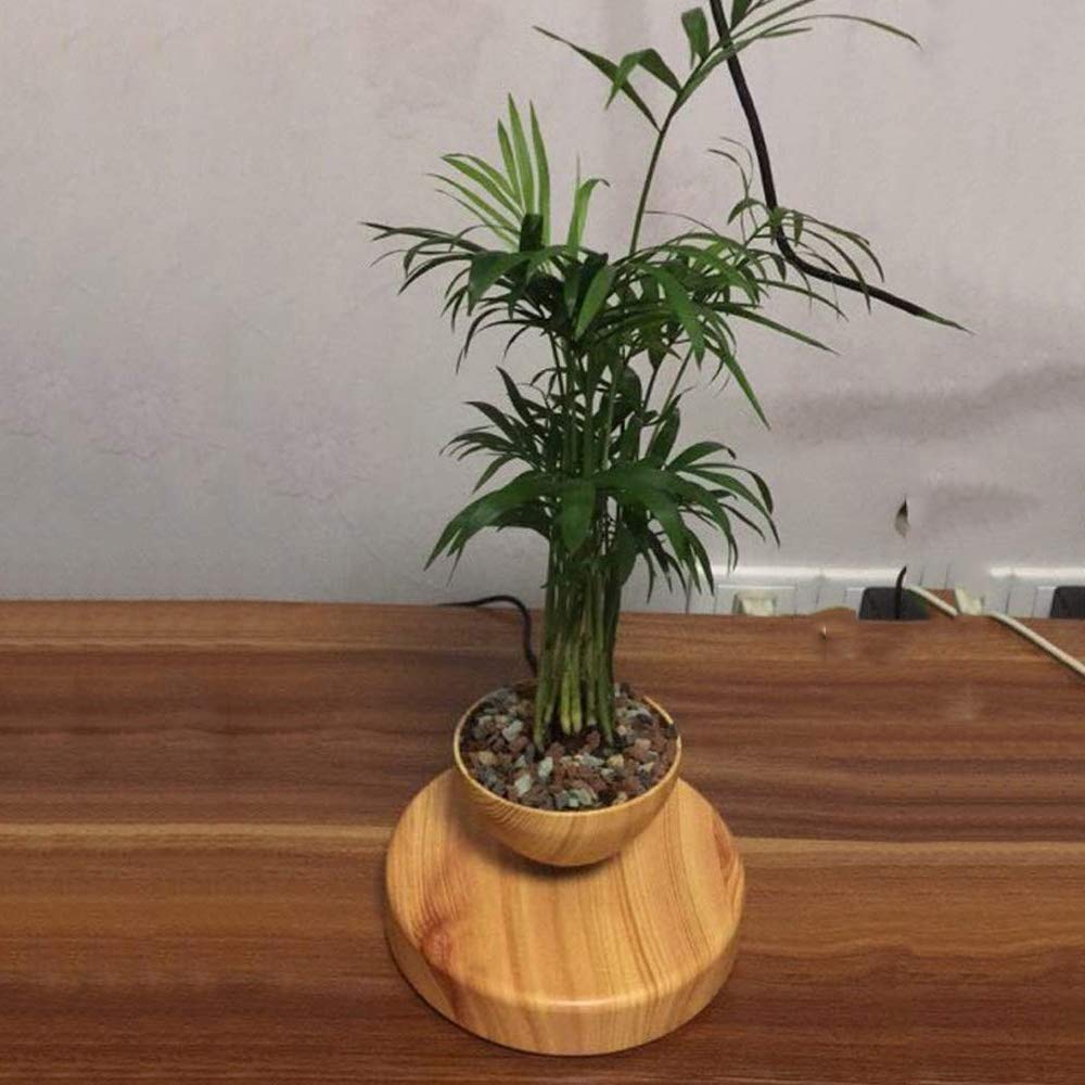 Amazon.co.jp: RANRANJJ 浮上エア盆栽ポット - 磁気浮上サスペンション