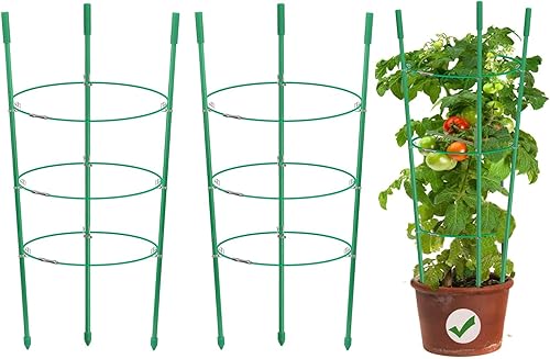 Miniatura 1 de Jaulas de soporte para plantas, Estaca de soporte para plantas, Anillo de metal Estaca para plantas de jardín, Jardinería Trellie, Anillo de soporte