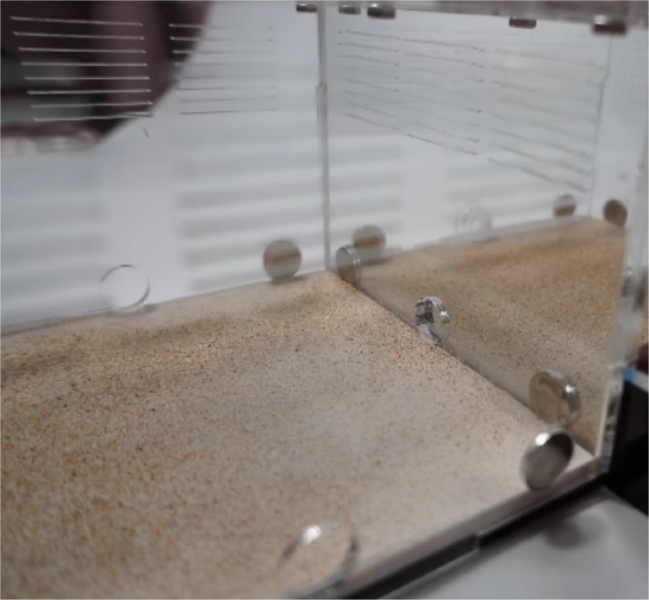 Ant Formicarium Akrylowe Gniazdo Mrówek DIY Gniazdo Betonowe Gniazdo Mrówek Dom Wiejski Warsztat Wiwarium Mrówek Edukacja Nauka Gniazdo Mrowiska