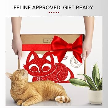 Amazon.com: 7 Ruby Road Cat Hammock Wall Mounted Shelf with