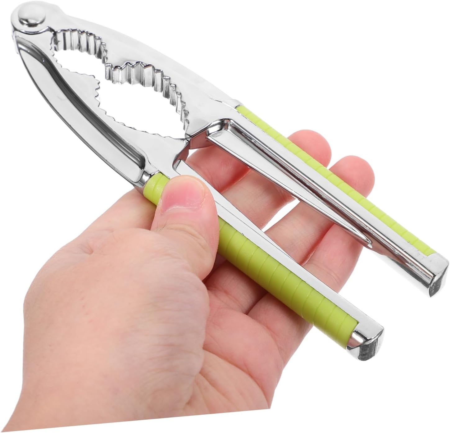 Green Stainless Steel Walnut Cracker Tool for Hazelnuts and Nuts