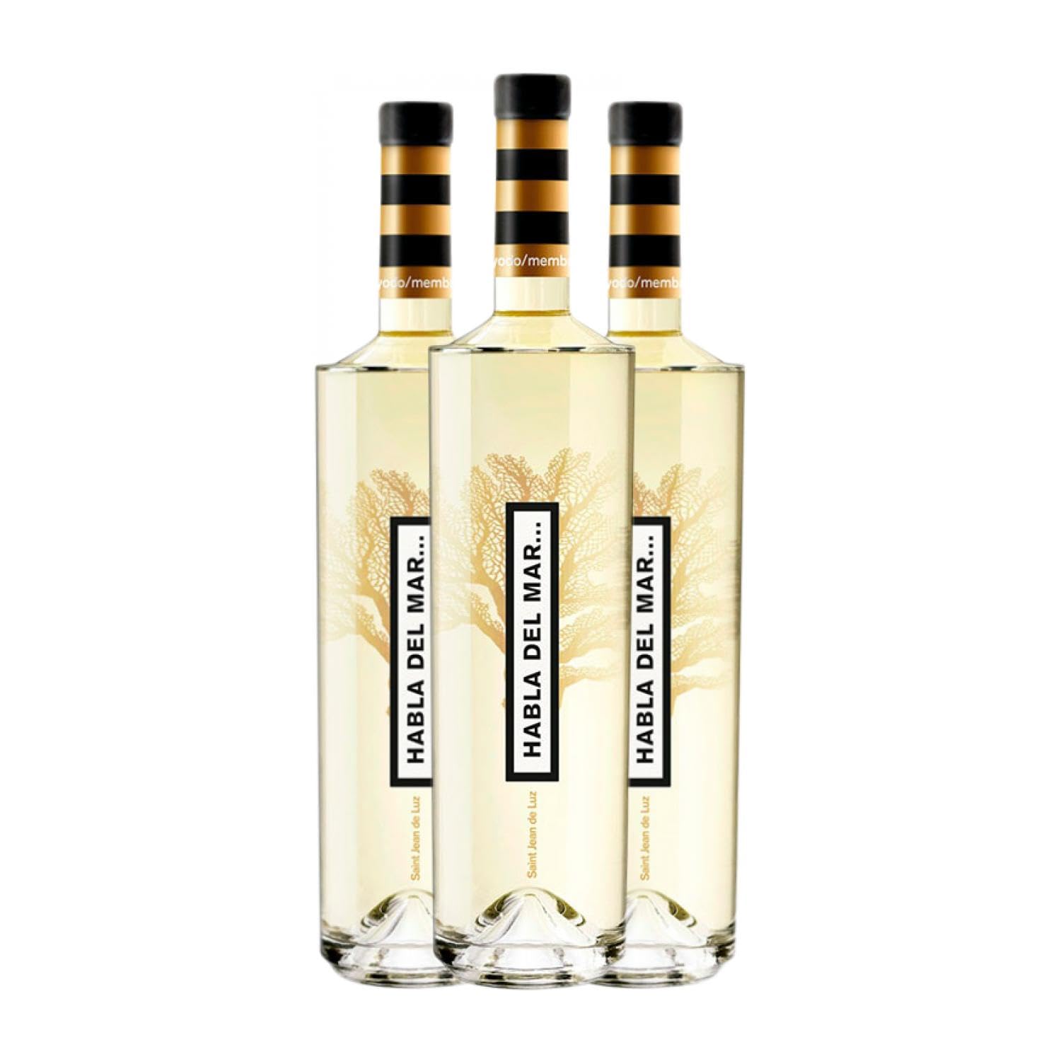 Habla del Mar Francia Joven 75 cl Vino blanco (Caja de 3 Botellas de 75 cl)