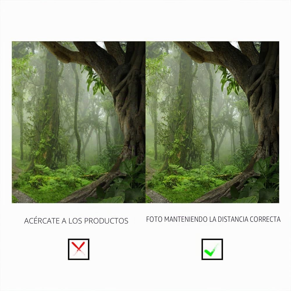 Fondo De Fotografía YongFoto De Poliéster 1.5x1m - Bosque Con Camino Entre Árboles Viejos, Ideal Para Retratos Y Decoración