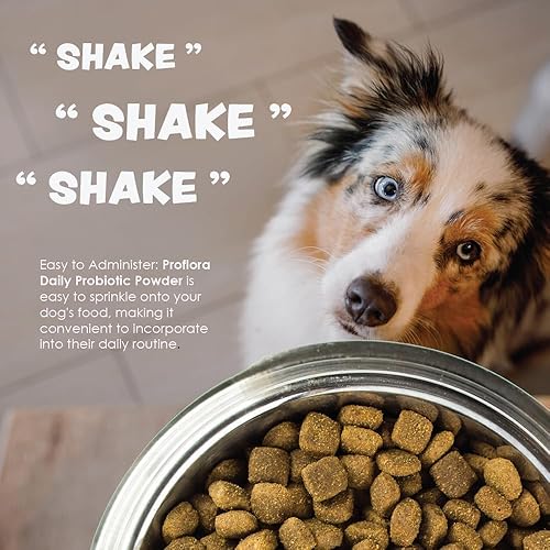 Miniatura 9 de Probióticos Proflora para perros salud intestinal completa y apoyo inmunológico. Probióticos digestivos de múltiples cepas fáciles de usar.