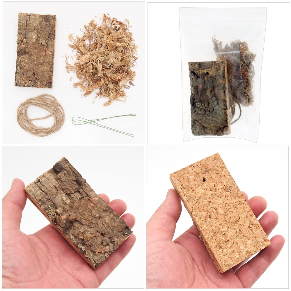 Amazon.co.jp: 着生植物栽培セット コルクバージョン チランジア