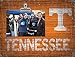 Fan Creations NCAA Tennessee Volunteers Team Name Clip-It Photo Frame