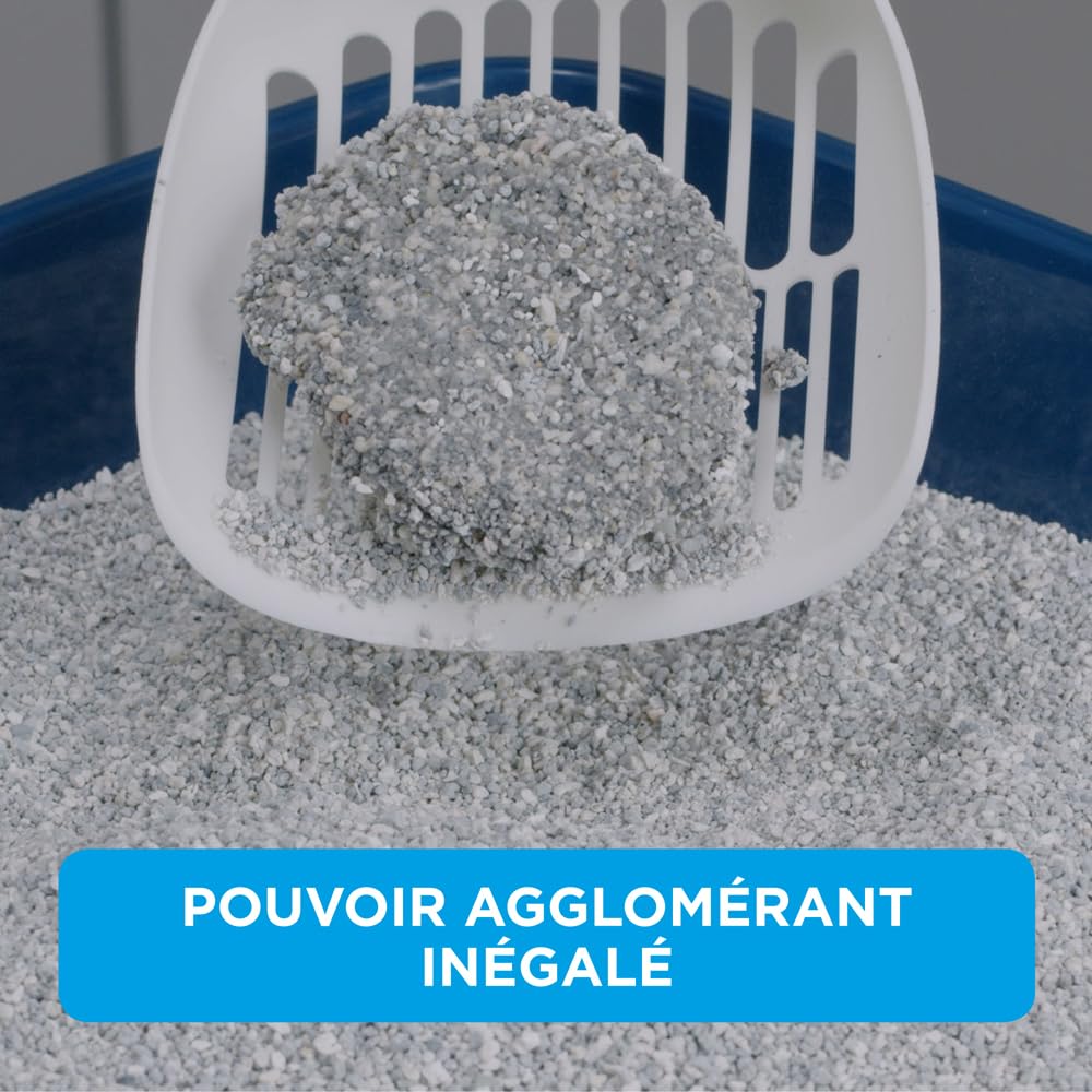 Ever Clean litière agglomérante parfumée pour Plusieurs Chats 20 litres