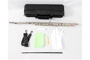 Silvery Flute: A Symphony of Sound for Beginners and Beyond