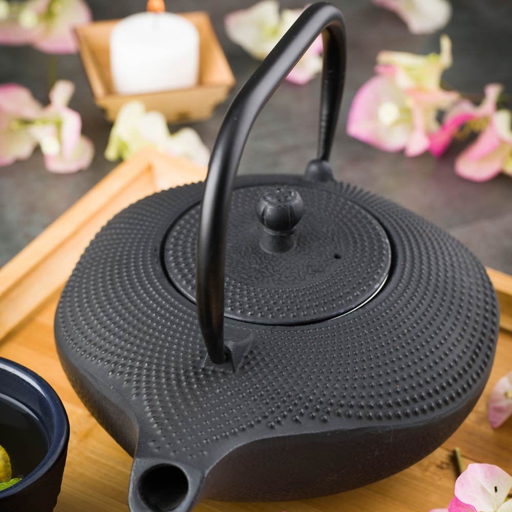Tetsubin Prosperity Black Cast Iron Teapot 34 Ounces 1 Count Box Teiera 34 ounces argento