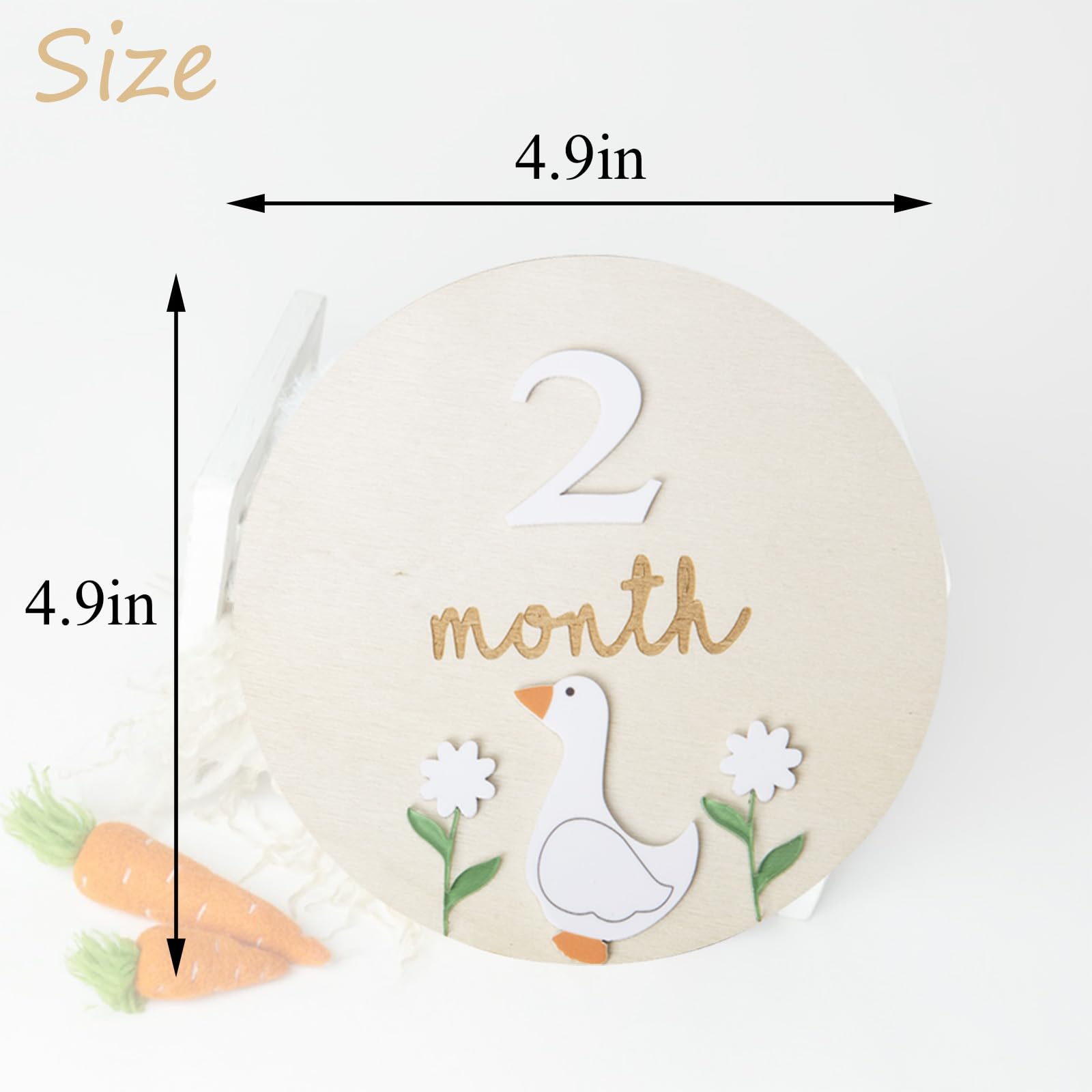 Goose Monthly Milestone Cards - Wooden Discs & 3D Baby Monthly Milestone Signs for Baby Shower & Announcement