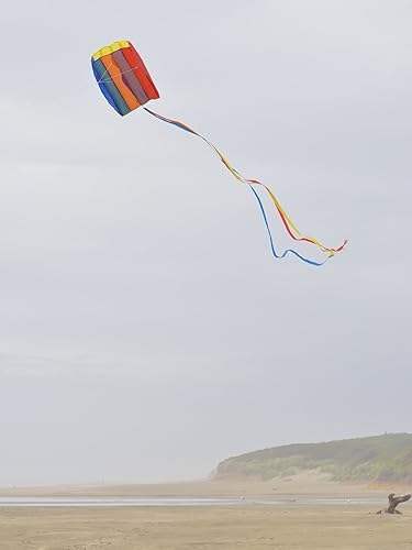 Miniatura 2 de In the Breeze Bolsa Parafoil Kite, Arcoiris, 15" W x 20" H (2911)