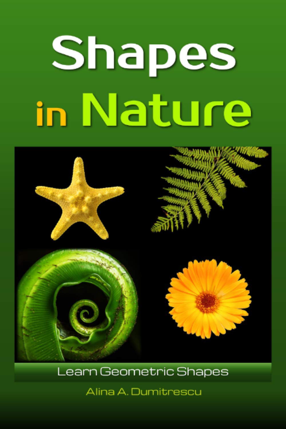 Shapes in Nature: Learn Geometric Shapes (Learning and Educational Books for Kids)