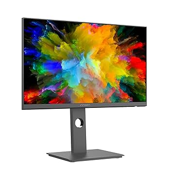 Amazon.com: INNOCN 24