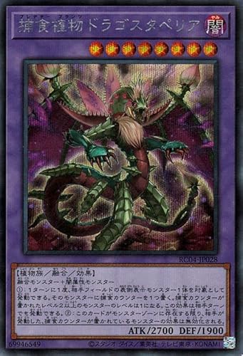 VYJ[h ߐHAhSX^yA(V[NbgA) RARITY COLLECTION QUARTER CENTURY EDITION iRC04j | vf^[ vc Z ő A