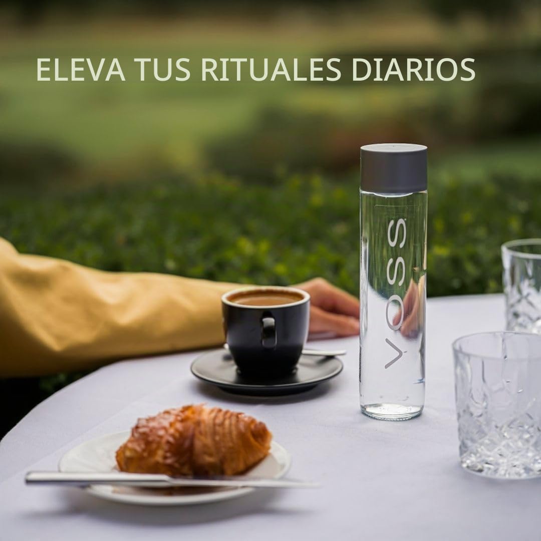 VOSS Agua sin gas, paquete de 24 botellas de vidrio originales VOSS de 375 ml, agua mineral natural
