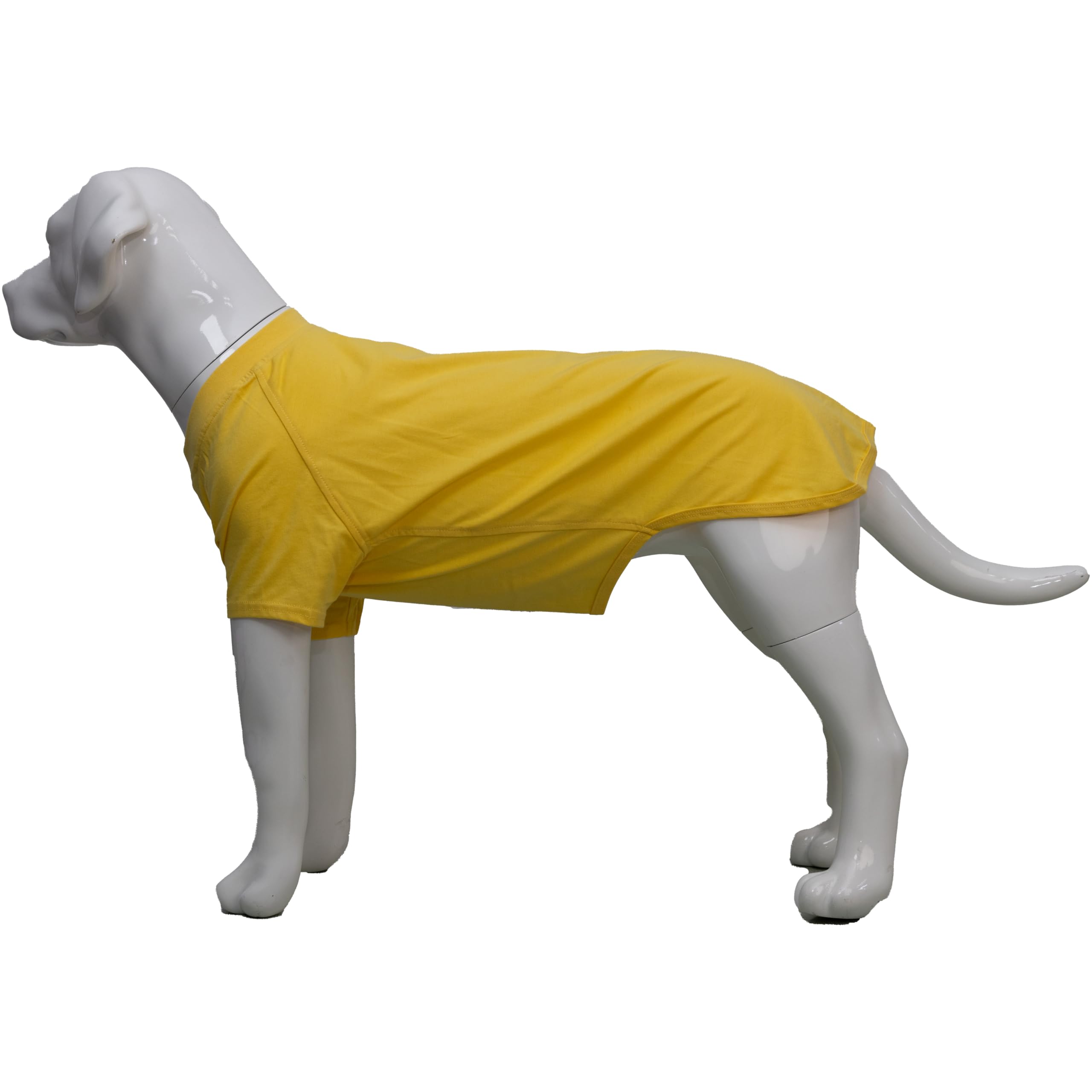 Costumes pour chiots et grands chiens pour sorties et balades