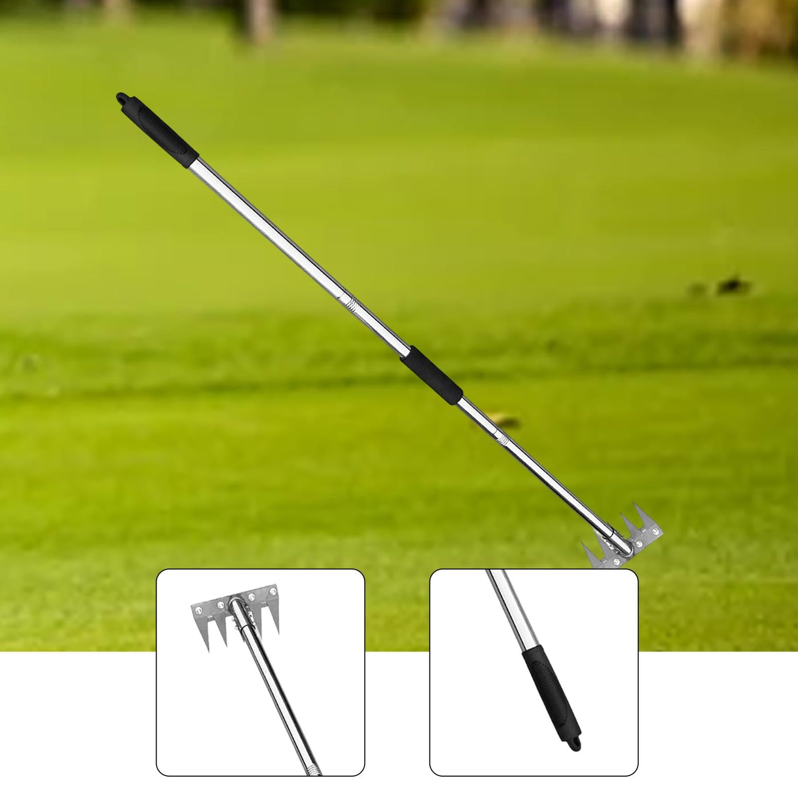 LOVIVER Diserbatrice Manuale Strumento per Estirpare Erbacce Rake da Giardino in Acciaio Inox con Presa Ergonomica Adatto per Orto Cura del Giardino Cortile F, 5 Denti