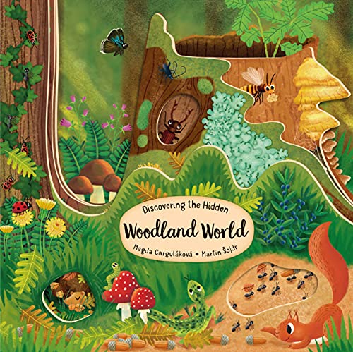Image of Discovering the Hidden Woodland World (Happy Fox Books) Board Book for Kids Ages 3-6 Explores into a Forest of Trees with Every Turn of the Page, plus Fun Facts and Vocabulary Words