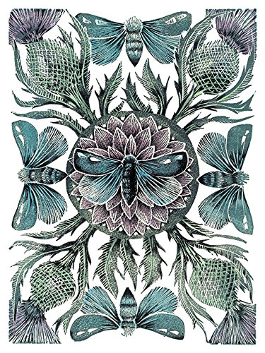 Toile Amanda Colville Moths & Thistles 60x80 pour salon chic