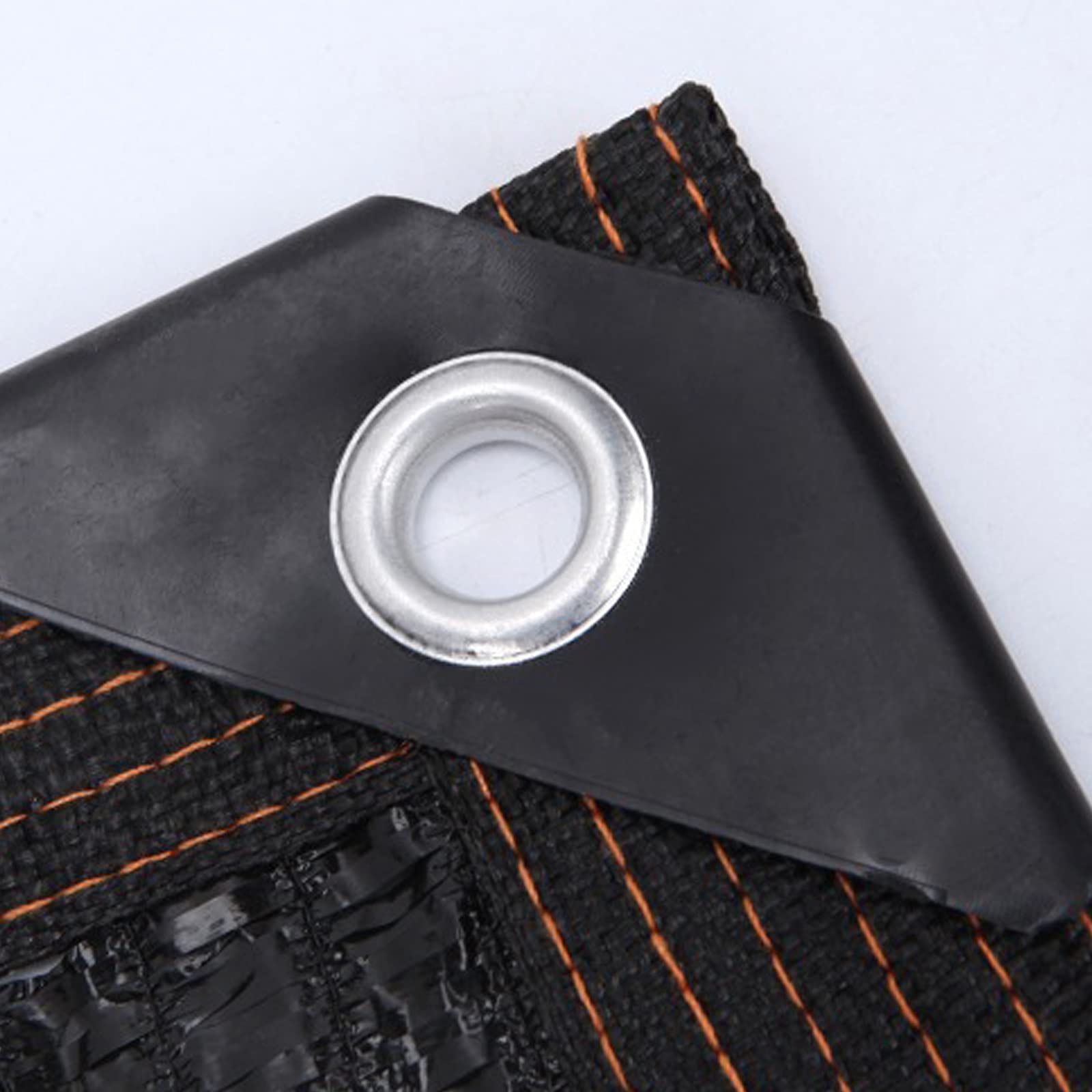 View 4