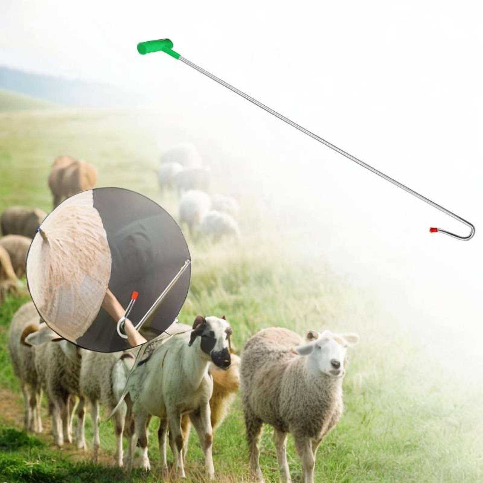 perfk Outil de receveur de mouton Stick Stick Pole mouton le dispositif de mouton pour le jardin, 90cm