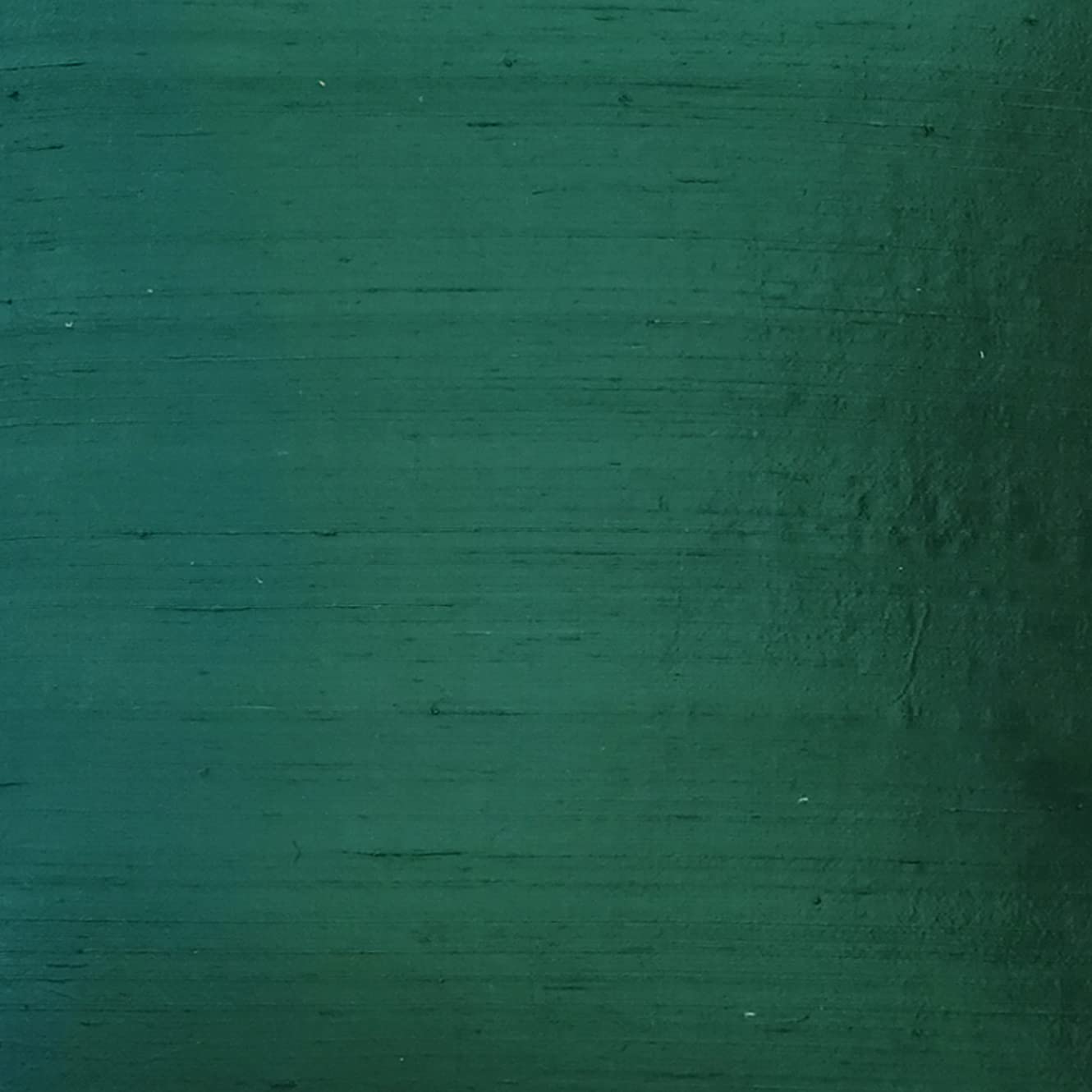 Sankara 100% Natural Dupioni Fine Silk Decorative Throw Pillow Cover with Insert Included, Forest Green, 20 x 20 (12+ Colors)