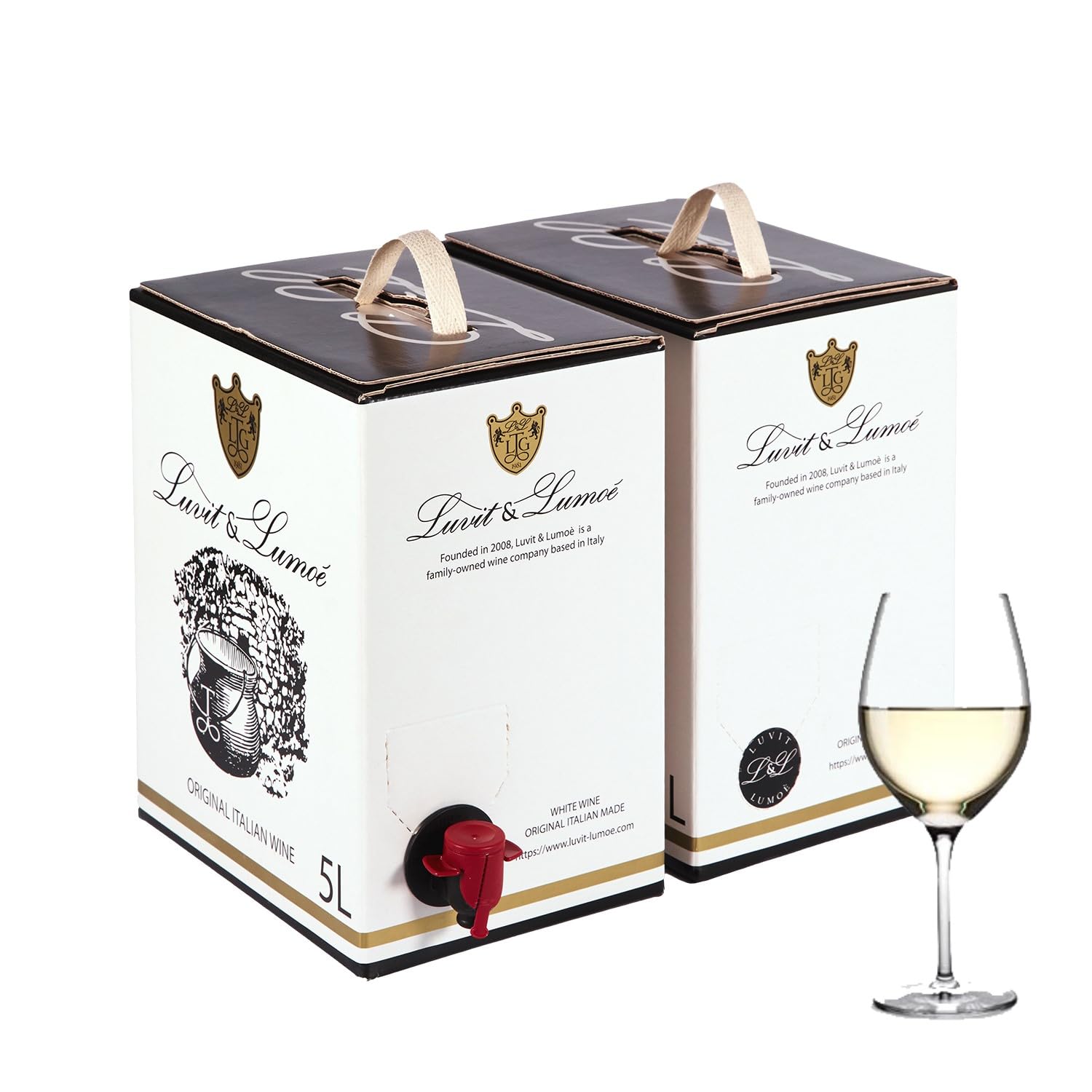 Luvit & Lumoè | Pinot Grigio DOC Friuli Venezia Giulia | Italienischer Weißwein | Bag in Box | 2 X 5 Liter = 13 Flaschen