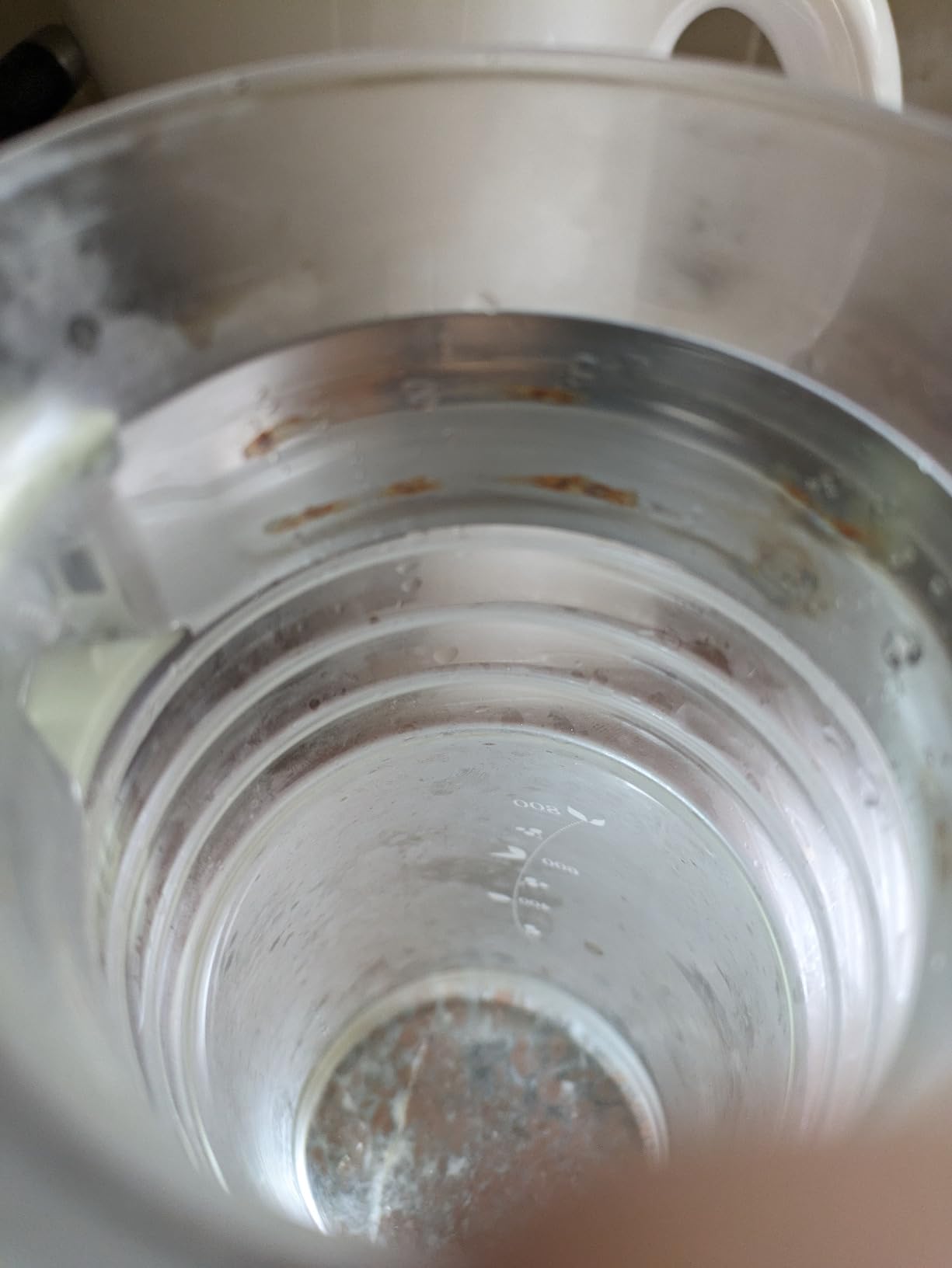 HARIO HCC12SG Cold Brew Tea Pot with Basket Net, Practical Capacity, 47.2 fl oz (1,200 ml