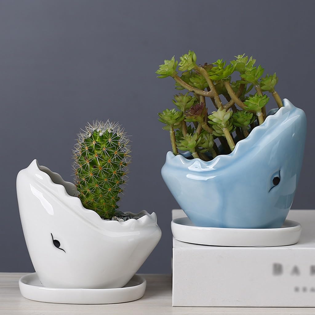 Set Di 2 Vasi In Ceramica A Forma Di Squalo Con Supporto In Bambù - 10x7,5x9,8cm - Per Pi Grasse E Cactus - Decorazione Scrivania - 4