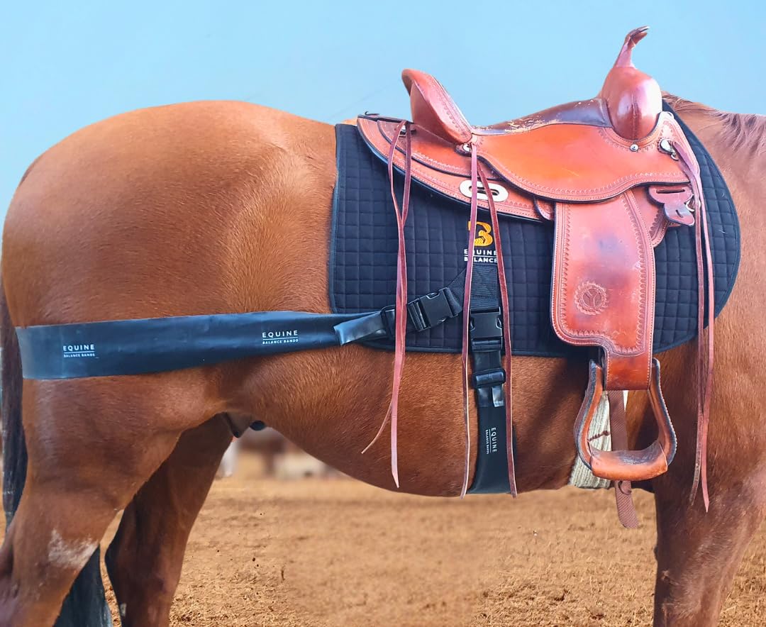 System opasek konnych – podstawowa pomoc treningowa dla koni, system podsiodłowy i pasów od Equine Balance Bands (zachodni)