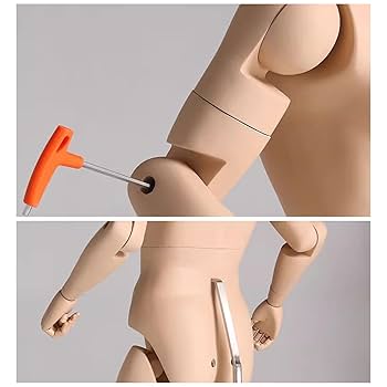 Amazon.co.jp: トルソー メンズ 男性のマネキンの手足は可動式で