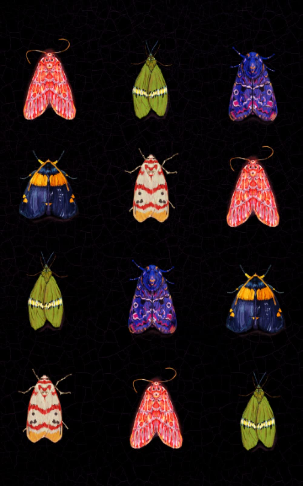 Moth Notebook | Lined, Cream Paper | 5x8in | 192 pages