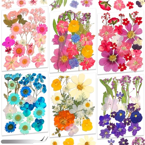 Image of 120 PCS Real Pressed Flowers, Natural Dried Pressed Flowers for Resin, Dried Florals Dry Flowers Leaves Kit with Tweezers for Scrapbooking DIY Art Crafts, Mother's Day Birthday Gift