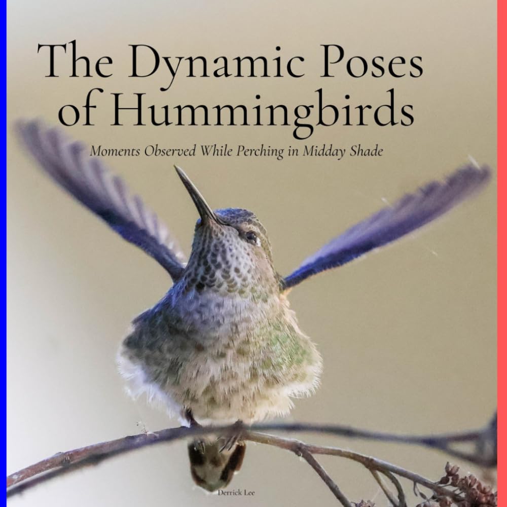 The Dynamic Poses of Hummingbirds: Moments Observed While Perching in Midday Shade (Dynamic Hummingbirds)