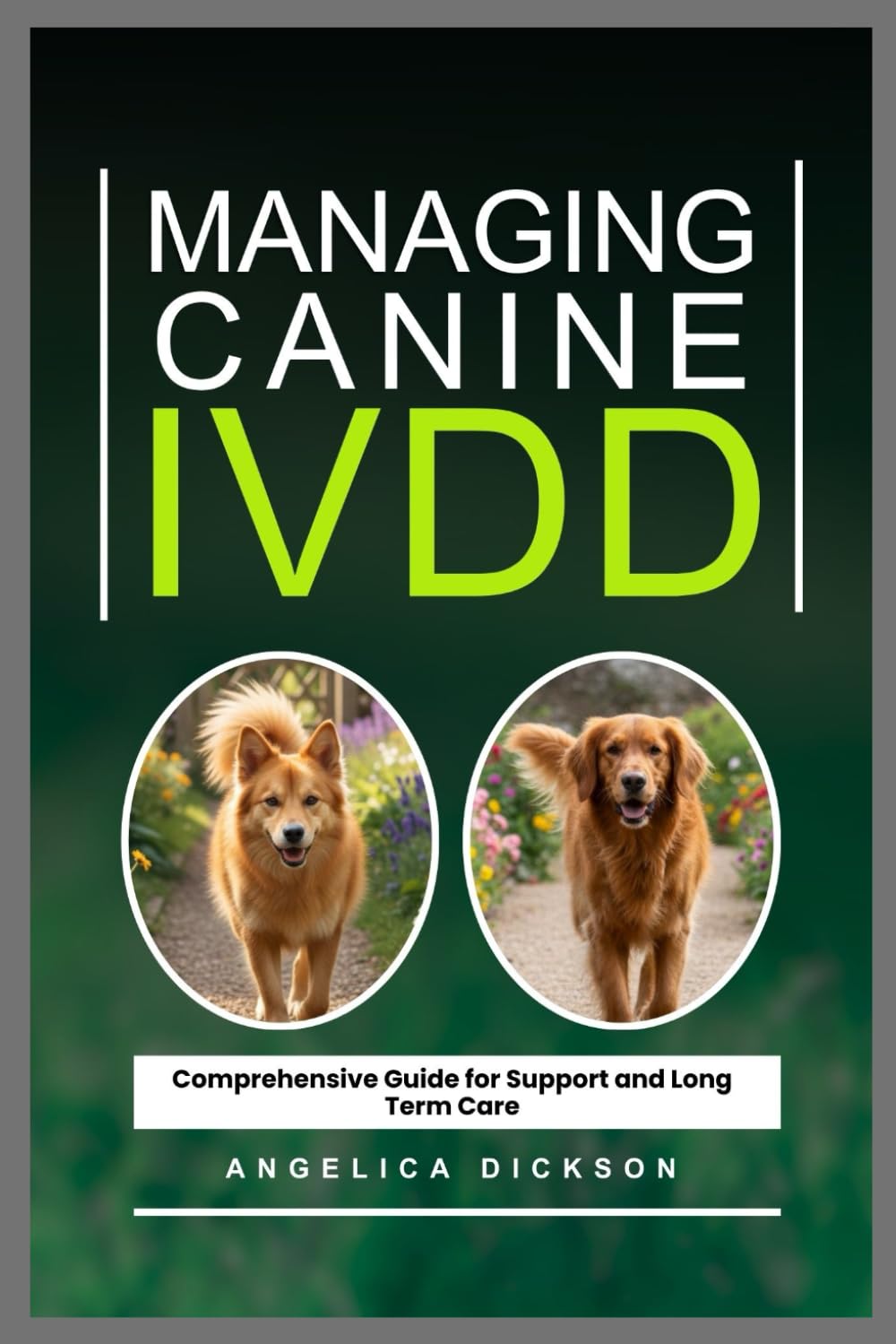 MANAGING CANINE IVDD: Comprehensive Guide for Support and Long Term Care