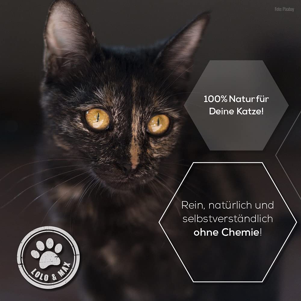 Lolo & Max - Floh- und Zeckenmittel für Katzen 100% Natürlicher Spot On - Bis zu 8 Monate Abwehr & Bekämpfung von Flöhen & Parasiten (Zecken,Milben,Läuse,Haarlinge,Wanzen) - Mittel gegen Flöhe - 40ml
