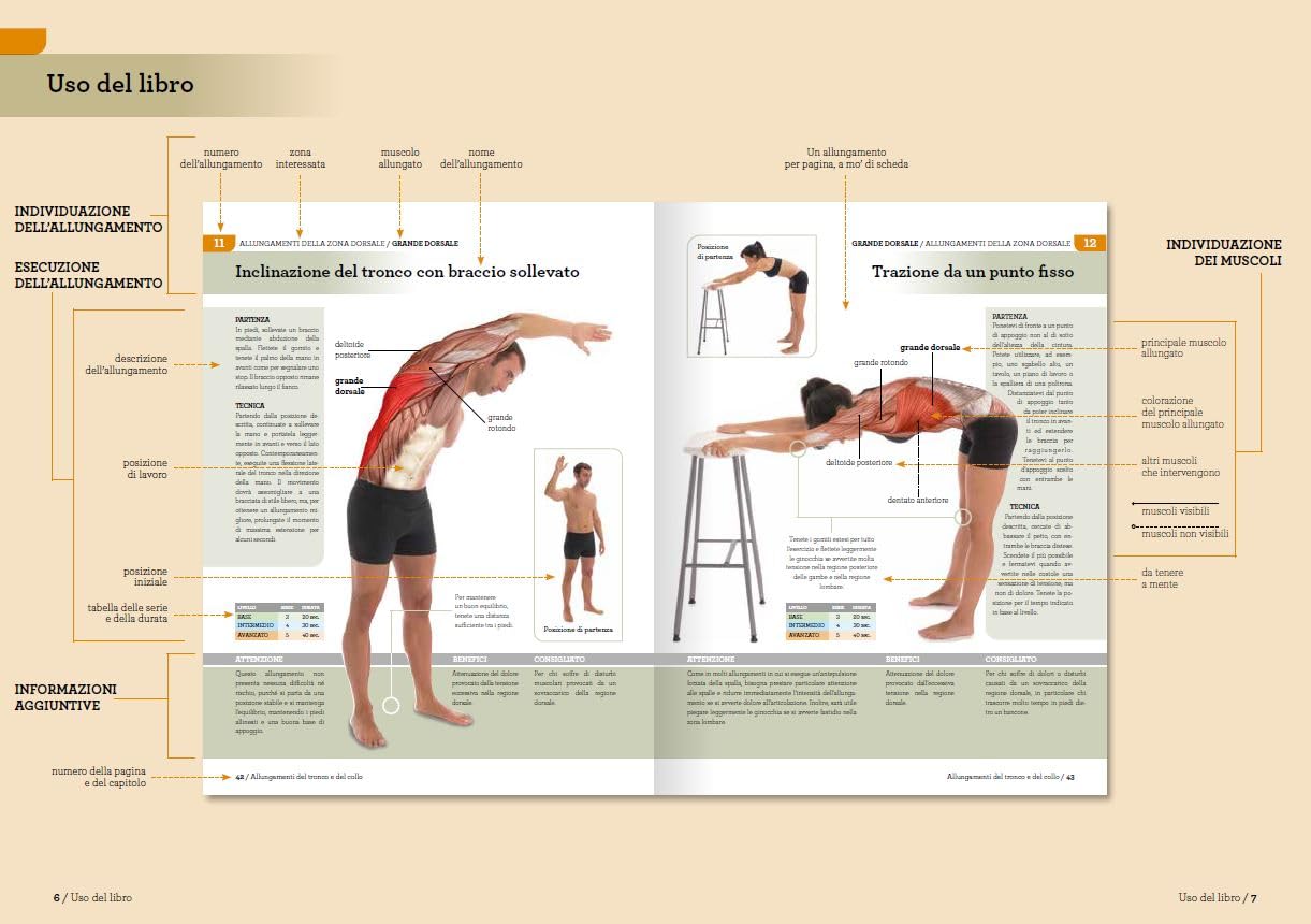 I 100 migliori esercizi di stretching. Tecniche, benefici, precauzioni, consigli, sequenze di allenamento, sollievo dal dolore. Ediz. a colori