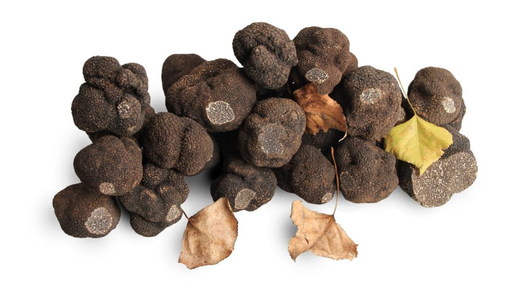 Moutarde à la Truffe Noire 100g | Sauce Gourmet Italienne au Truffe Noire – Condiment Raffiné pour Viande, Fromage, Sandwichs et Antipasti