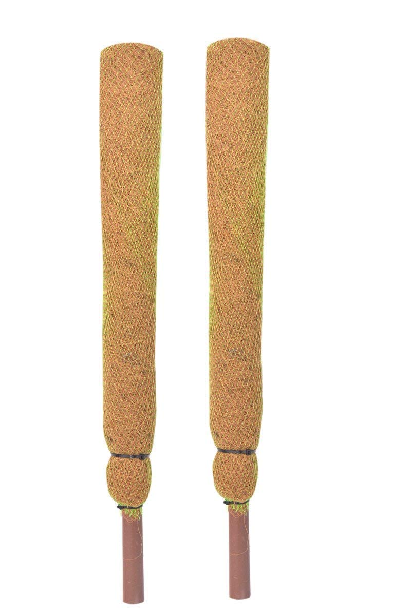 Nikhat Coco Pole 2 FT(61 cm) - 2 Pieces -Moss & Coir Stick for Money Plant Support, Indoor Plants, House Plants & Plant Creepers Garden Mulch (B0CK652ZGN) Amazon Price History, Amazon Price Tracker