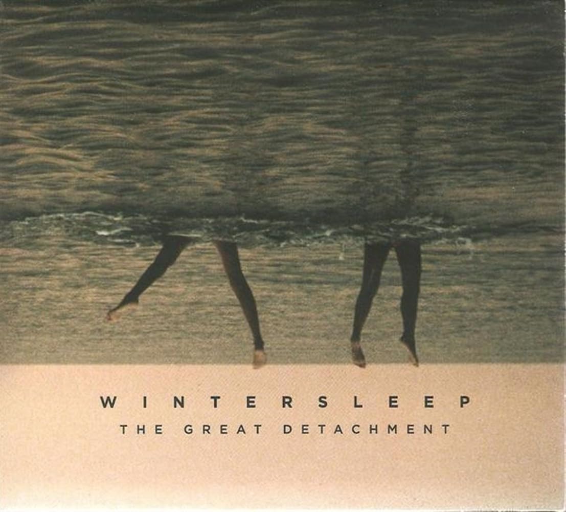 The Great Detachment [Audio CD] Wintersleep