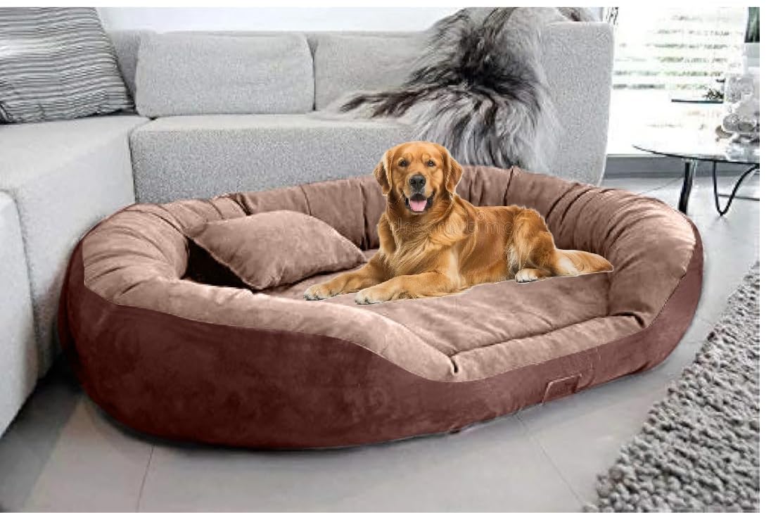 DRILLY Premium Fur Washable Dog/cat Bed with Blanket for Small |Medium |Large | Extra Large | XXL |XXXL | 4XL Size Dogs | Cats | Puppy | pet | Rabbit | Persian cat | Indoor cat(S) (B0D9NLBM99) Amazon Price History, Amazon Price Tracker