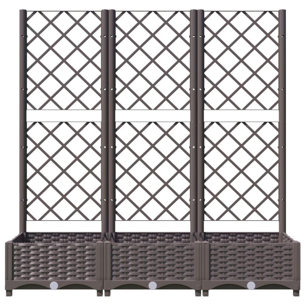 Genérico Jardinera de jardín con Enrejado marrón 120x40x121,5 cm PP,Jardín,Jardinería,Maceteros y jardineras-318262