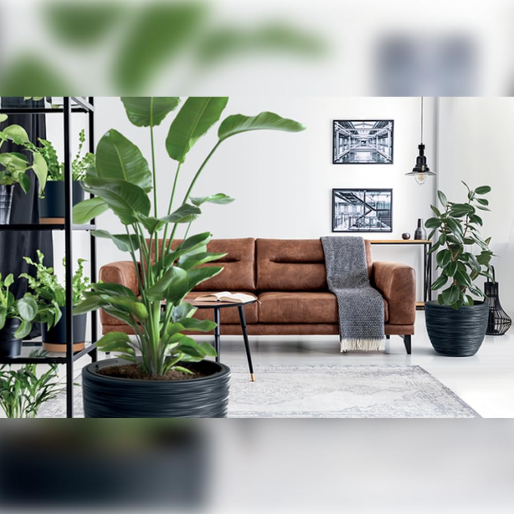 Prosperplast Macetero Color Blanco, con depósito, colección Furu, de 56,9 x 56,9 x 44,5 cm, Capacidad de 92 L.