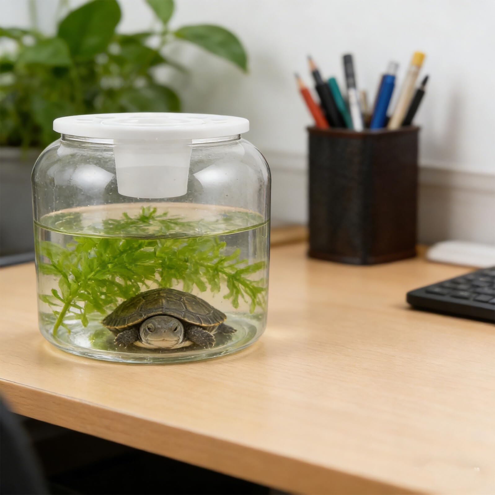 Przezroczysty Zbiornik Żółwie z Pokrywą Do Sadzenia Roślin Szczelny Terrarium dla Gadów Przenośny Akwarium Obserwacyjne dla Małych Żółwi i Innych Zwierząt Wodnych